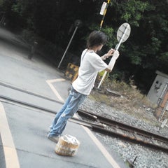 Rosenkreuzのプロフィール
