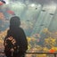 ぶ～すかのサムネイル