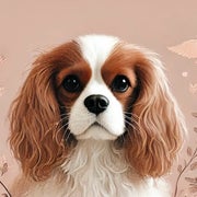 あこ｜初マタ × ゆるサステナブルな暮らしのおすすめのサムネイル