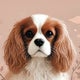 あこ｜初マタ × ゆるサステナブルな暮らしのおすすめのサムネイル