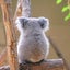 sのサムネイル