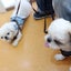 あゆちのサムネイル