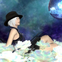 ダルナのプロフィール