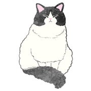 しろねこのおすすめのサムネイル