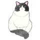 しろねこのおすすめのサムネイル