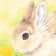うさぎのあずきとの毎日