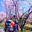 げるはひとのサムネイル