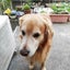 画像 3130-k-kkのブログのユーザープロフィール画像