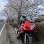 polder10(Tomo)のサムネイル