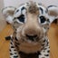 💗アマンダ💗のサムネイル