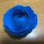 kodomodaisuki2848のサムネイル