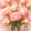 mee❁﻿のサムネイル