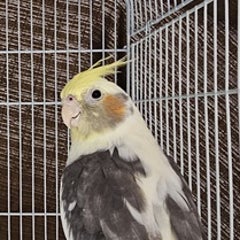 ゆかのプロフィール