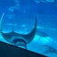 画像 doradoramofmofのブログのユーザープロフィール画像