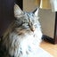 画像 じゃがじゃが日記neoのユーザープロフィール画像