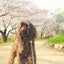 かぁさんのサムネイル