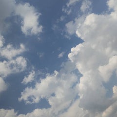 hanaのプロフィール