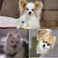 画像 イキの気まぐれ日記のユーザープロフィール画像