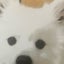 画像 2218-mのブログのユーザープロフィール画像