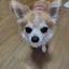 mamemame1717のサムネイル