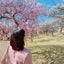 Halka❀のサムネイル