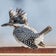 徒然なる野鳥のままに悠々散歩