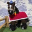 画像 編みばんば生産者の日常のユーザープロフィール画像