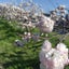 えぬじぇ～のサムネイル