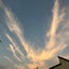 画像 紅葉の日常のユーザープロフィール画像