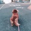 ゆぅこのサムネイル