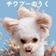 チワプーのうくのおすすめのサムネイル