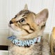 yuraのおすすめのサムネイル