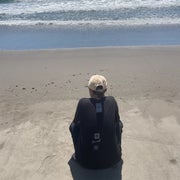 malieの好きなもののサムネイル