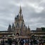 ymのサムネイル