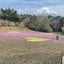 紙飛行機のサムネイル