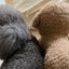 kikohina4753のサムネイル