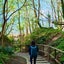 canada-aruku-hironochanのサムネイル