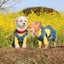 画像 ビビりちゃんなミルク姉弟〜みる＆ルクblog〜のユーザープロフィール画像