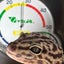 零のサムネイル