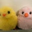 ピヨのサムネイル
