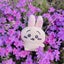 画像 ふわふわりんღ♡のユーザープロフィール画像