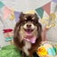 画像 ある日突然、抗MDA5抗体陽性の皮膚筋炎と診断されてのユーザープロフィール画像