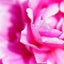 画像 おてやわらかにのユーザープロフィール画像
