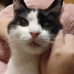 まんちゃんのプロフィール