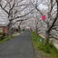 harunaのサムネイル