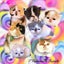 7匹の香港さむらい福福ねこファミリーのサムネイル