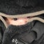 emuyuiのサムネイル