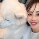 maiログのおすすめのサムネイル
