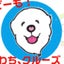 画像 クルーズ&シド&JUNO兄妹ピレニーズSeason3のユーザープロフィール画像