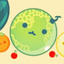 melonのサムネイル